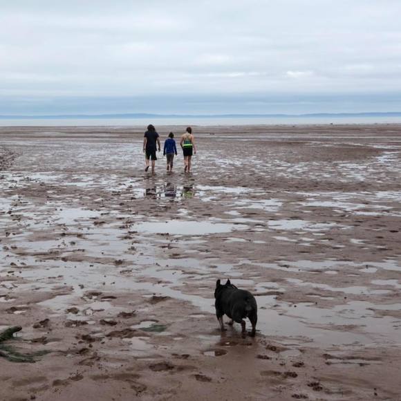 Meet your Posher, Dawn - Picture 1 of 1